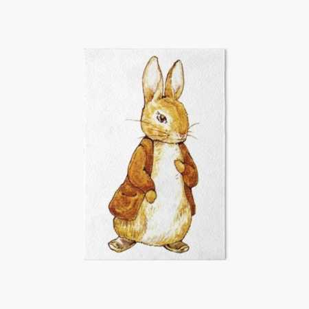 Amazon.com: Beatrix Potter Mr. Bunny, Benjamin and Peter