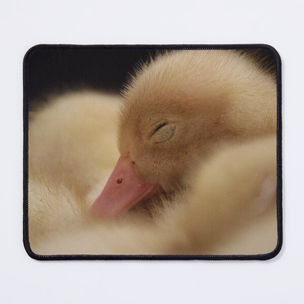 Item preview, Sleepy duckling designed and sold by iam01110011.
