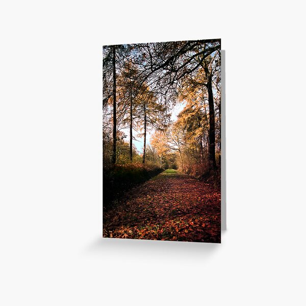 Path Greeting Card