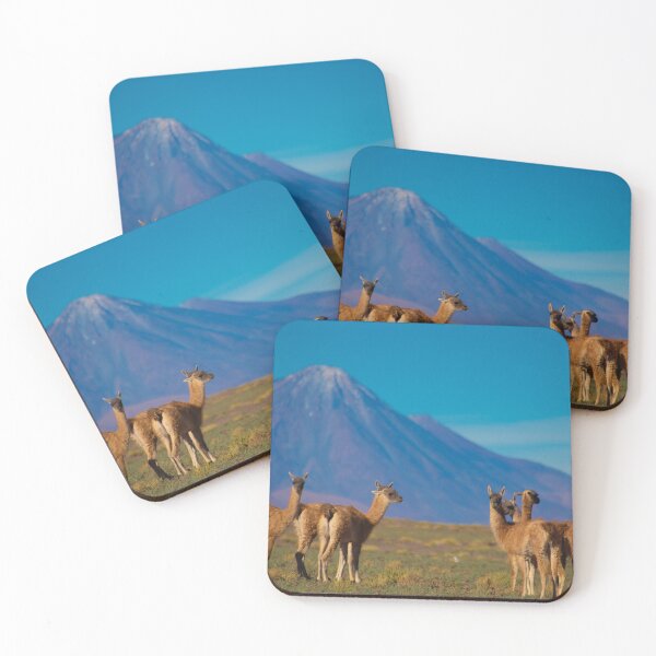 Item preview, San Pedro de Chile, Vulcan Licancabur designed and sold by Bill Metallinos.