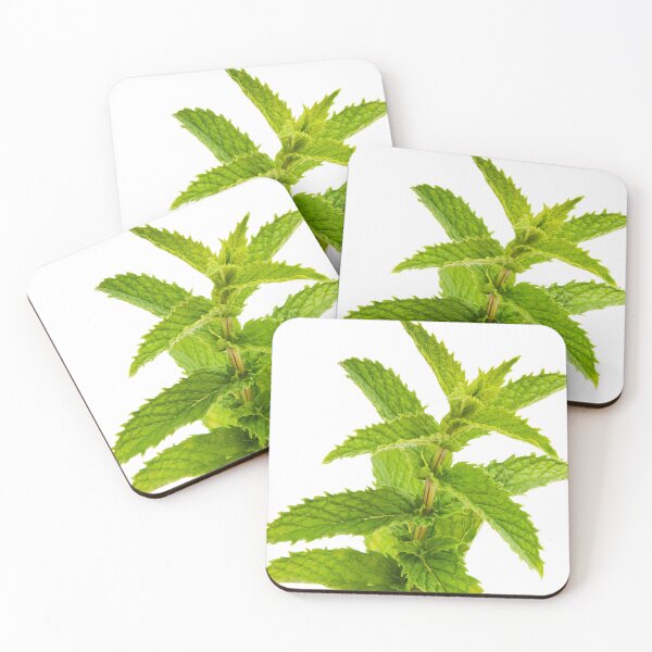 Item preview, Fresh Mint Leaves Detail designed and sold by THP Creative.