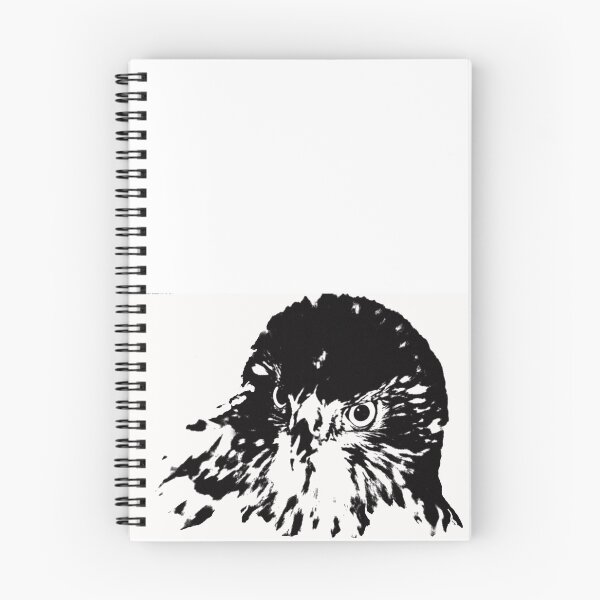 Item preview, Hawk Glare designed and sold by ccrippen.