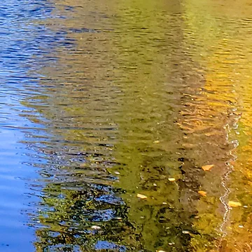 Artwork thumbnail, Lake Ripples by C Schabowski