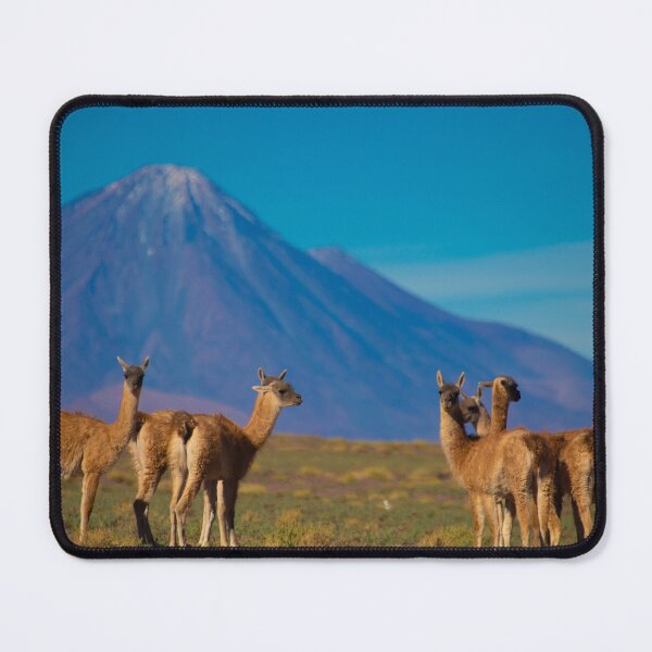 Item preview, San Pedro de Chile, Vulcan Licancabur designed and sold by Bill Metallinos.