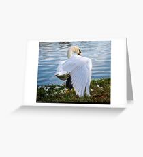 TAi Chi Swan Greeting Card