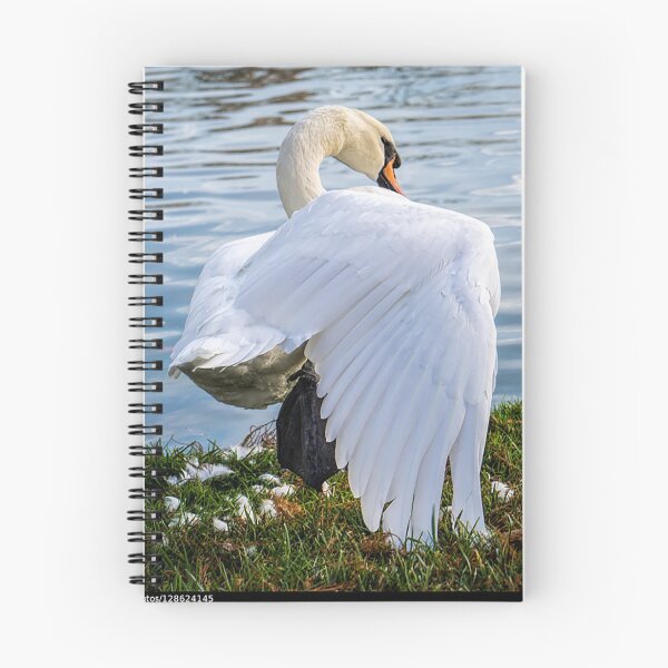 Item preview, TAi Chi Swan designed and sold by Cathy Donohoue.