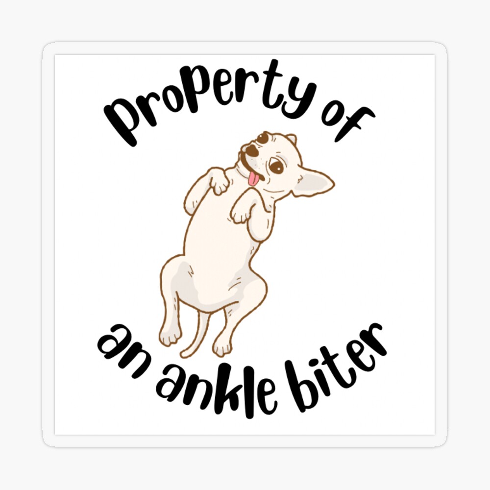 Ankle Biter - Chihuahua - Posters and Art Prints