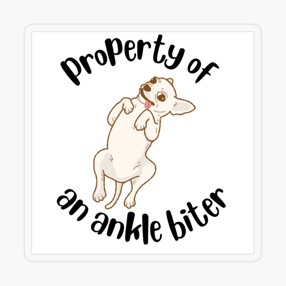 Chihuahua Ankle Biter | Art Board Print