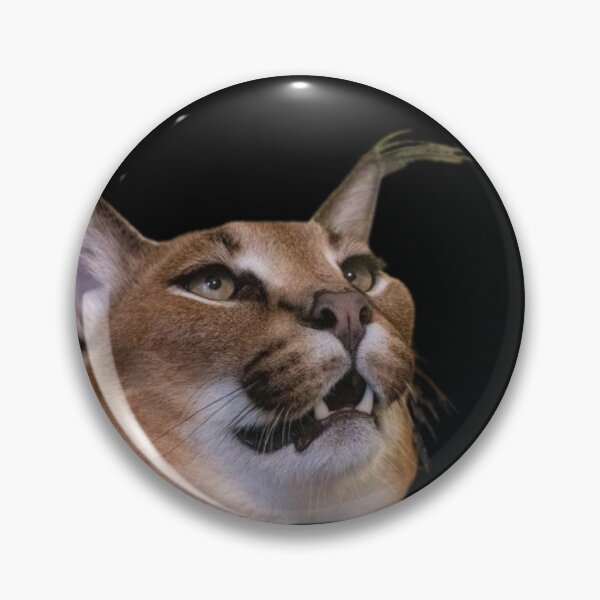 Item preview,  Uncomprehending Floppa designed and sold by MemeDealer3.