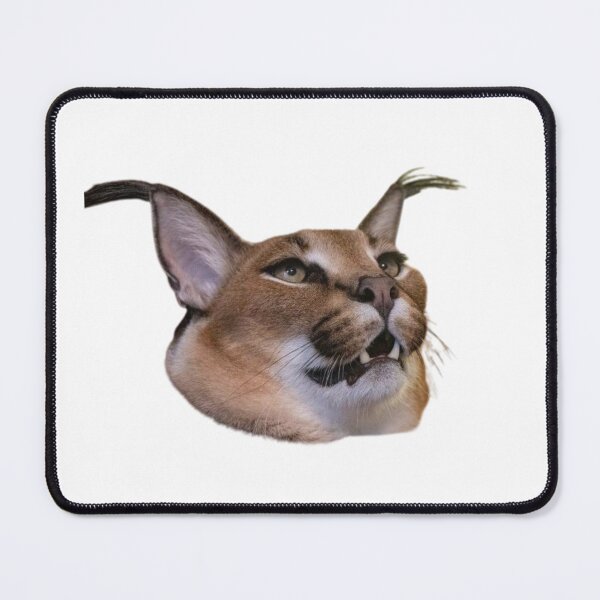 Item preview, Uncomprehending Floppa designed and sold by MemeDealer3.