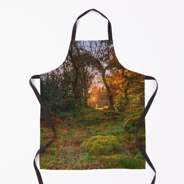 Item preview, Gwydir Forest Llyn Geirionydd Llanrwst designed and sold by Darren Wilkes.