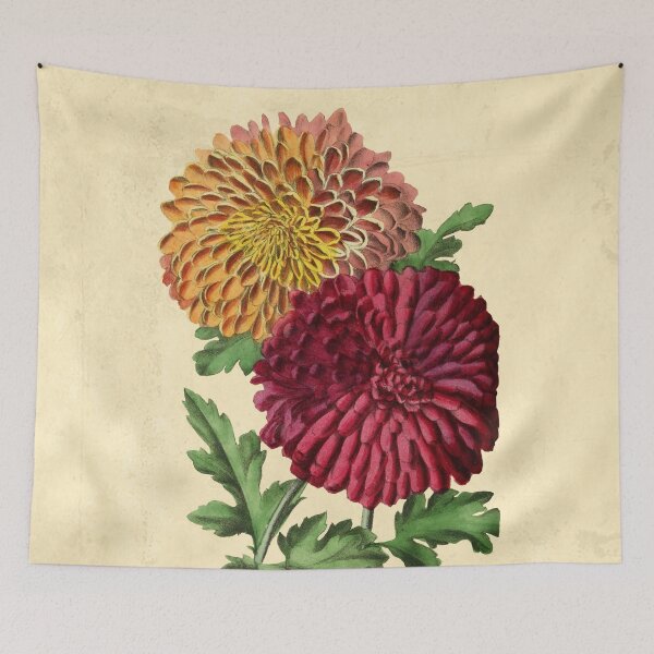 Item preview, Basquin With Details designed and sold by ptMaker.
