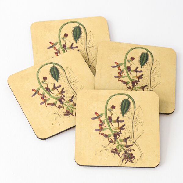 Item preview, Tourretia Lappacea With Details designed and sold by ptMaker.