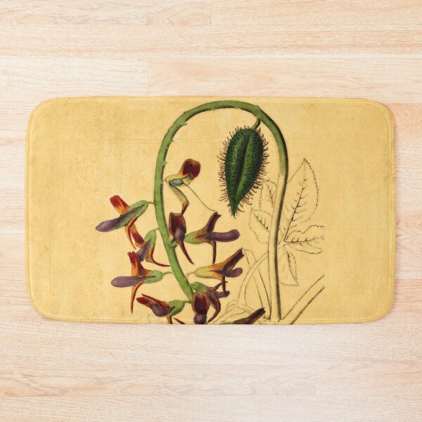 Item preview, Tourretia Lappacea With Details designed and sold by ptMaker.