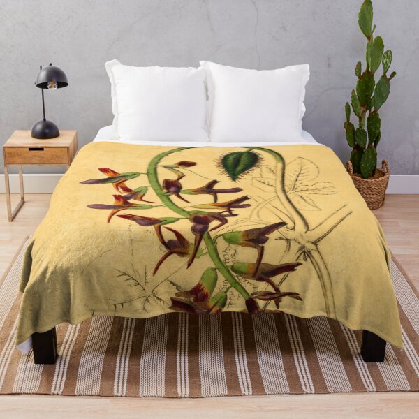 Item preview, Tourretia Lappacea With Details designed and sold by ptMaker.