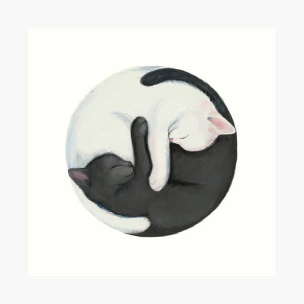 Yin Yang Balancing Cats Art Print
