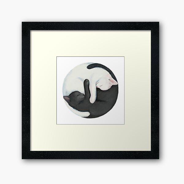 Yin Yang Balancing Cats Gerahmter Kunstdruck