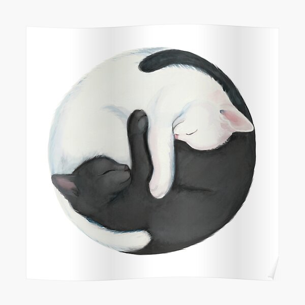 Yin Yang Balancing Cats Poster