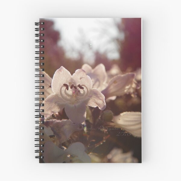 Item preview, White Flower Evening Light designed and sold by OliviaDorgan02.