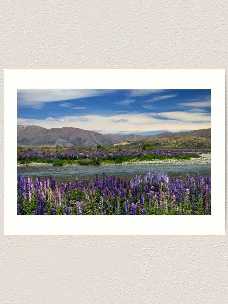 Alternate view of Lupin lined Ahuriri River - NZ Art Print