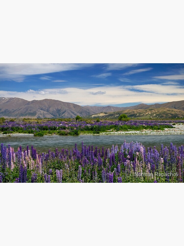 Lupin lined Ahuriri River - NZ by keystone