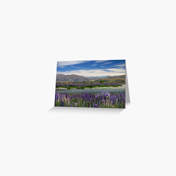 Lupin lined Ahuriri River - NZ Greeting Card