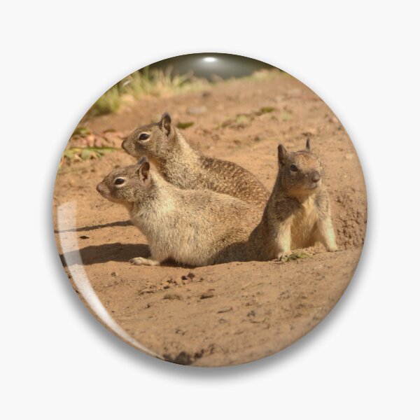 Item preview, Ground squirrels designed and sold by sandyprints.