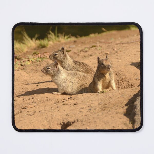 Item preview, Ground squirrels designed and sold by sandyprints.