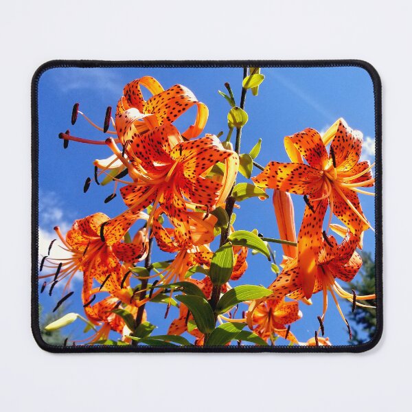 Item preview, Tiger Lilies in the Sky designed and sold by bjtomiko.