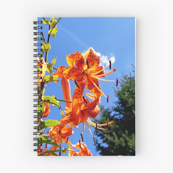 Item preview, Tiger Lilies in the Sky designed and sold by bjtomiko.