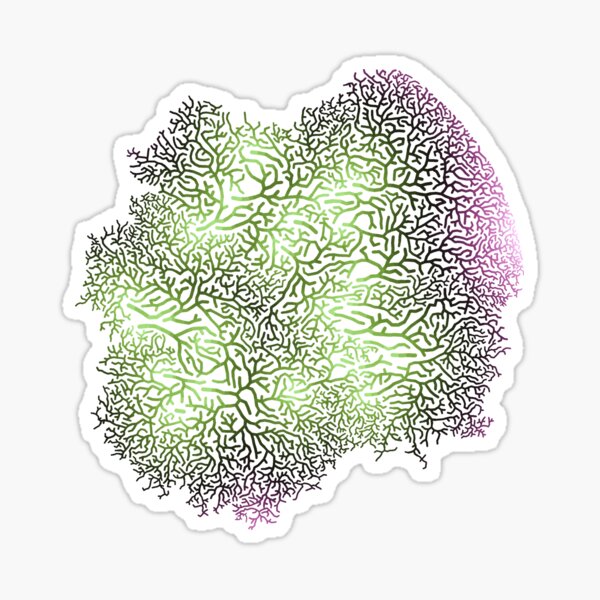 Hyphae Vanimo Sticker