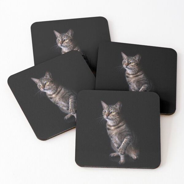 Item preview, Beautiful Angry Cat Angry Cat Viral Photo designed and sold by Tmart123.