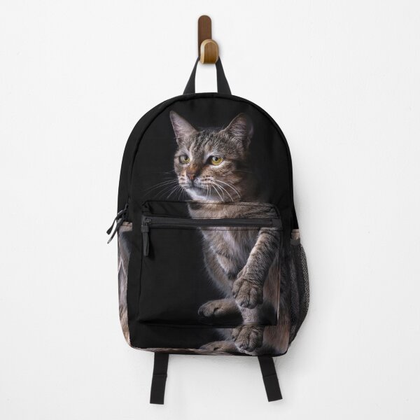 Item preview, Beautiful Angry Cat Angry Cat Viral Photo designed and sold by Tmart123.