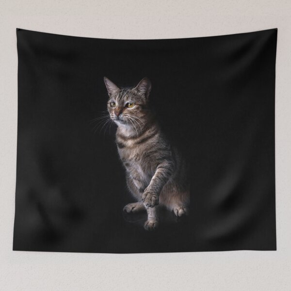 Item preview, Beautiful Angry Cat Angry Cat Viral Photo designed and sold by Tmart123.
