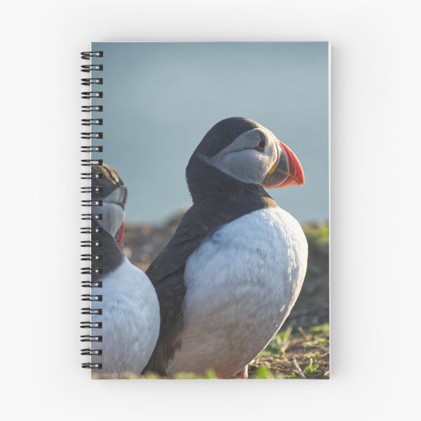 Item preview, A pair of puffins. designed and sold by sandyprints.