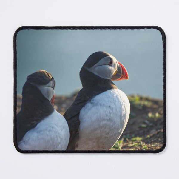 Item preview, A pair of puffins. designed and sold by sandyprints.