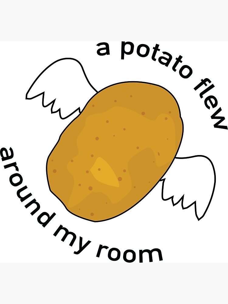 A Potato Flew Around My Room Kid - A Potato Flew Around My Room Before