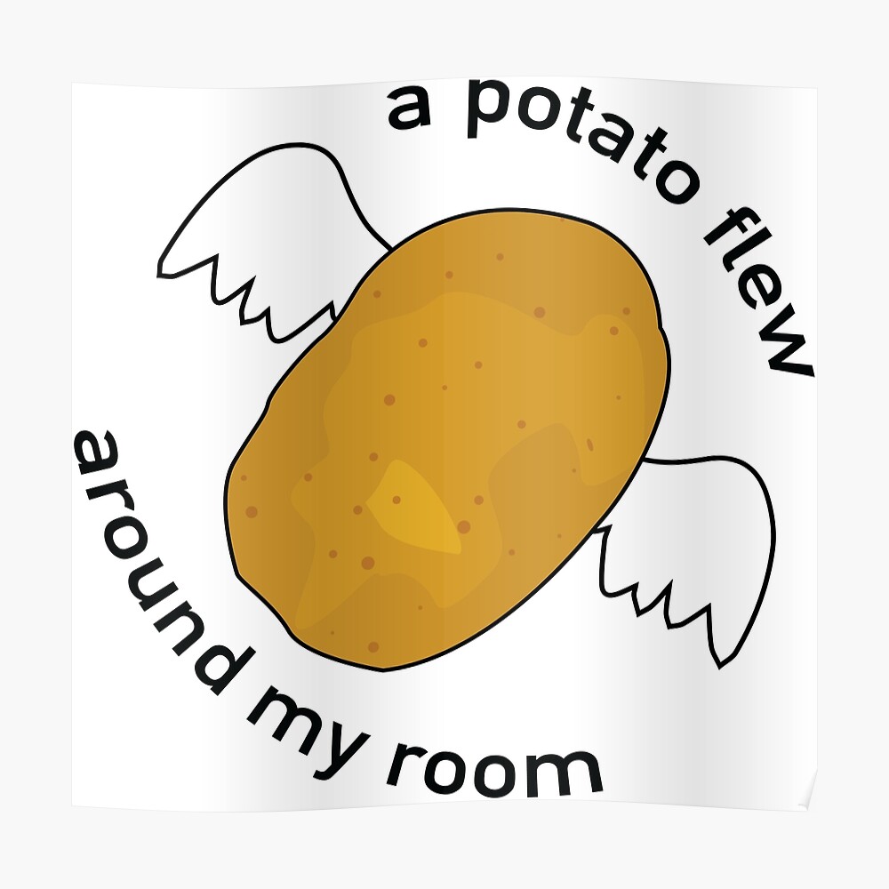 A Potato Flew Around My Room Kid / A Potato Flew Around My Room