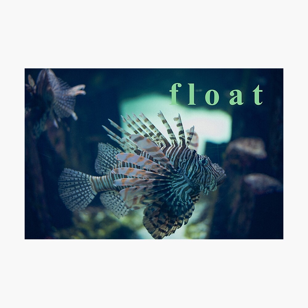 f l o a t (2023) Poster for Sale by LucythePhoenix