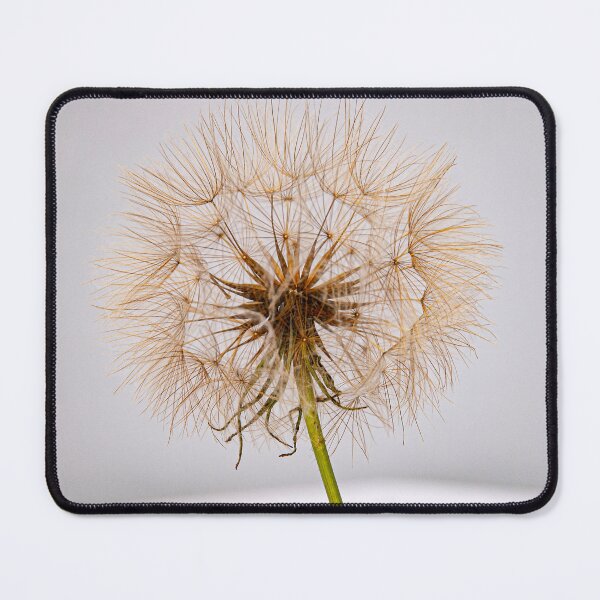 Item preview, Seed head. designed and sold by sandyprints.