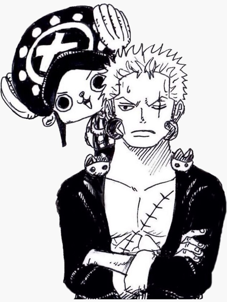 Chopper and Zoro  Zoro one piece, One piece chopper, One piece manga