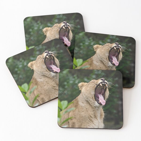 Item preview, Female Lion (Lioness) designed and sold by Darren Wilkes Wildlife UK.