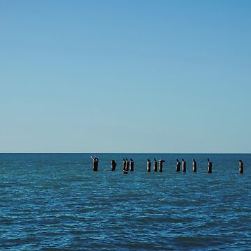 Artwork thumbnail, NAPLES FLORIDA BEACH OCEAN PIER by teruyalab