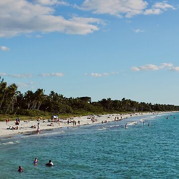 Artwork thumbnail, NAPLES FLORIDA BEACH OCEAN SHORE by teruyalab