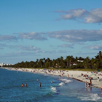 Artwork thumbnail, NAPLES FLORIDA BEACH OCEAN SHORE by teruyalab