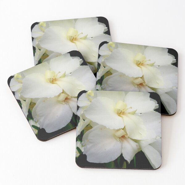 Item preview, White orchids designed and sold by Shulie1.