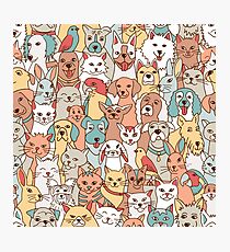 Pets Photographic Print