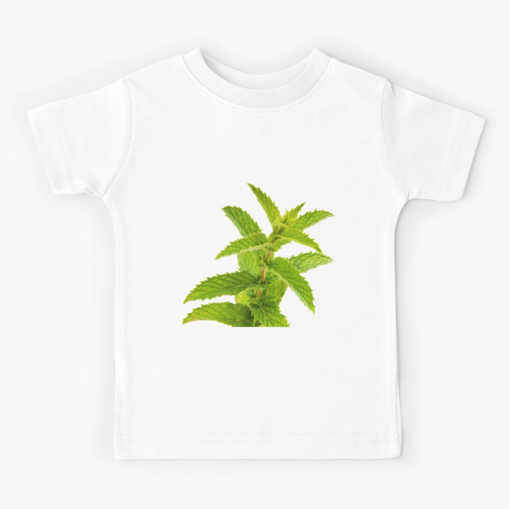 fresh mint t shirt