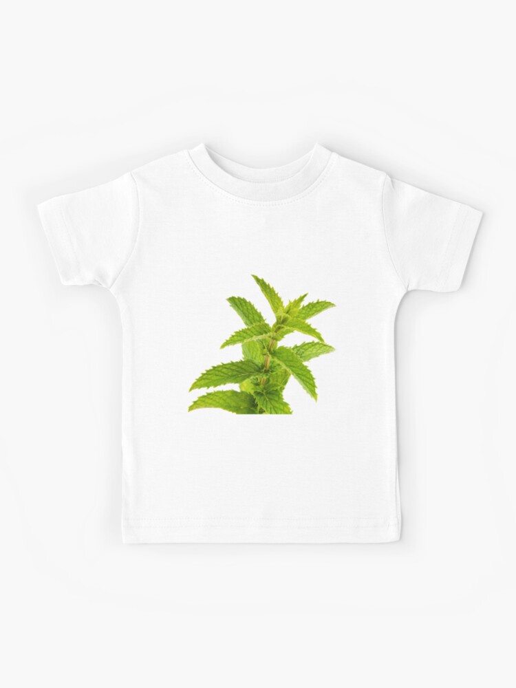 fresh mint shirt
