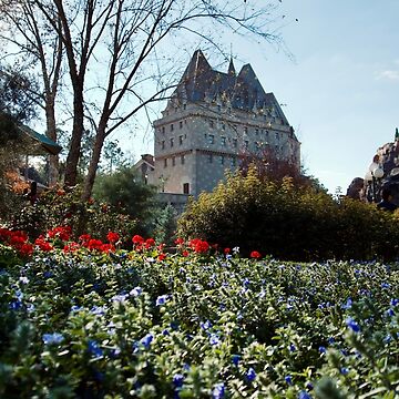 Artwork thumbnail, FRANCE MAISON ORLANDO FLORIDA THEME PARK by teruyalab